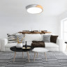 Светильник светодиодный потолочный JAZZWAY PPB SCANDIC-R 24W 4000K WH/W IP20 5036932